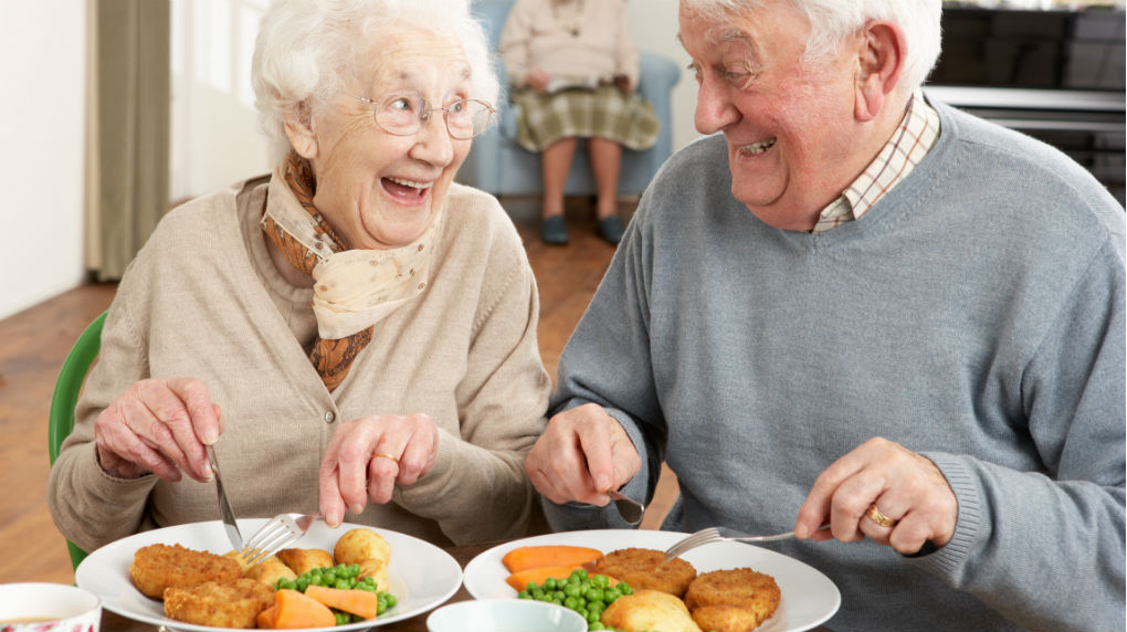 Alimentación Geriátrica